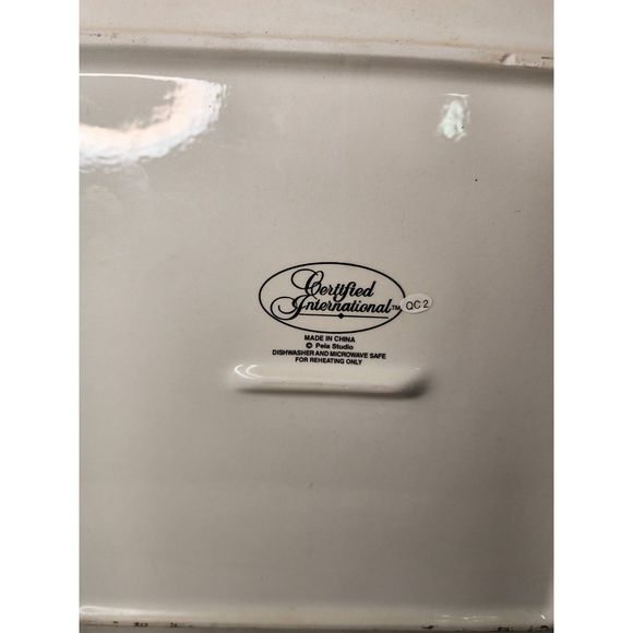 Certified International Tex Mex Mexicano Restaurante‎ Square Dinner Plate - Picture 4 of 5